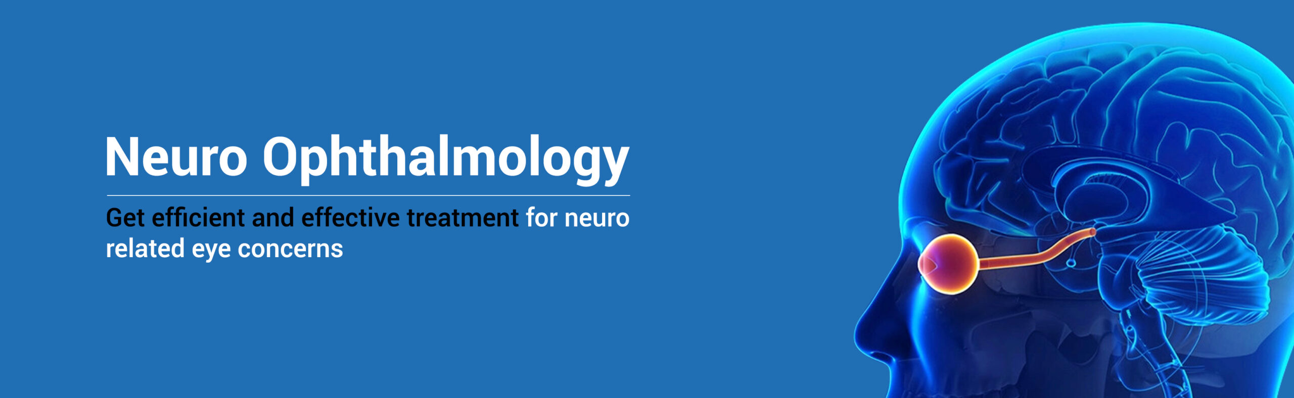 Service-Neuro Ophthalmology